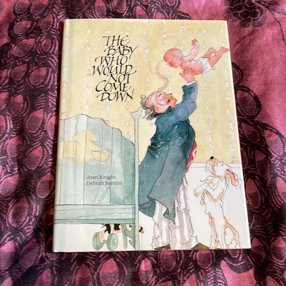Vintage 80's The Baby Who Would Not Come Down childrens book by Joan Knight 1989